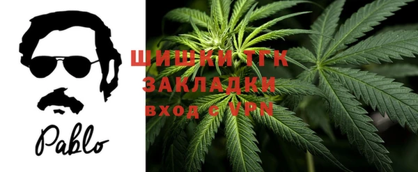 соль курить ск Белокуриха