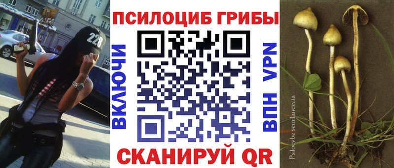 Псилоцибиновые грибы Psilocybe  МЕГА tor  Бородино 